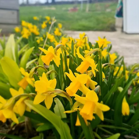 Epis Du Moulin Hébergement de vacances