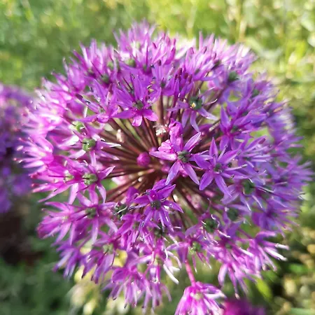 Hébergement de vacances Epis Du Moulin