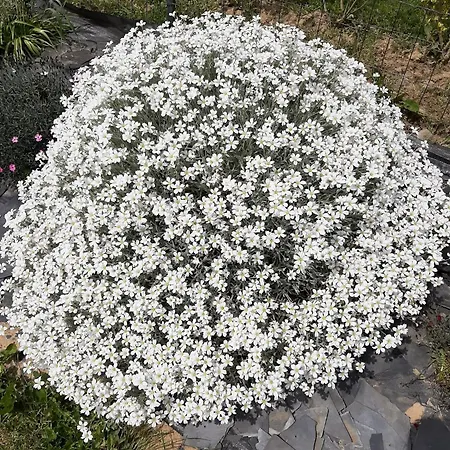 Epis Du Moulin Сasa de vacaciones *