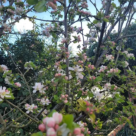 Epis Du Moulin 度假居 Etinehem