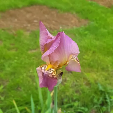 Сasa de vacaciones Epis Du Moulin