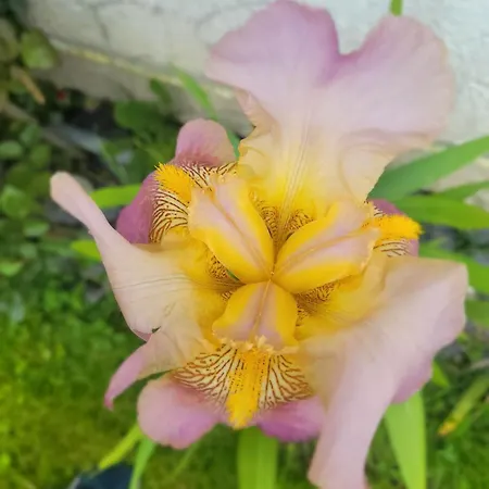 Epis Du Moulin Сasa de vacaciones