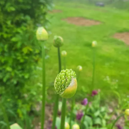 Epis Du Moulin Сasa de vacaciones