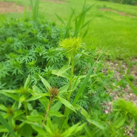Epis Du Moulin Hébergement de vacances Etinehem