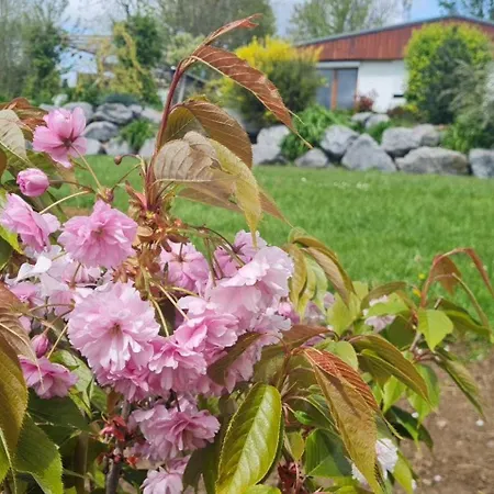 Epis Du Moulin Hébergement de vacances Etinehem