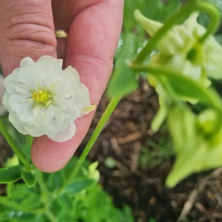 Hébergement de vacances Epis Du Moulin Etinehem