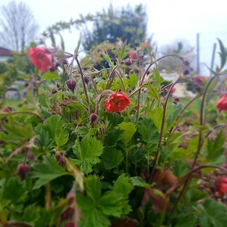Hébergement de vacances Epis Du Moulin