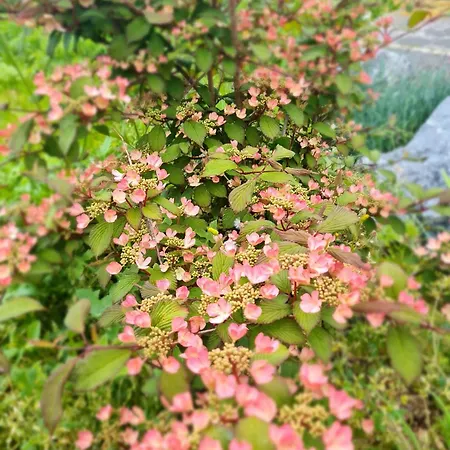 度假居 Epis Du Moulin Etinehem