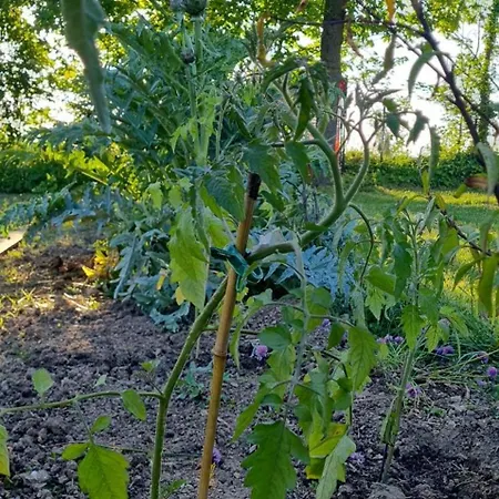 Hébergement de vacances Epis Du Moulin