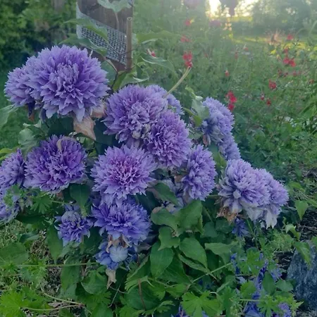 Epis Du Moulin Сasa de vacaciones