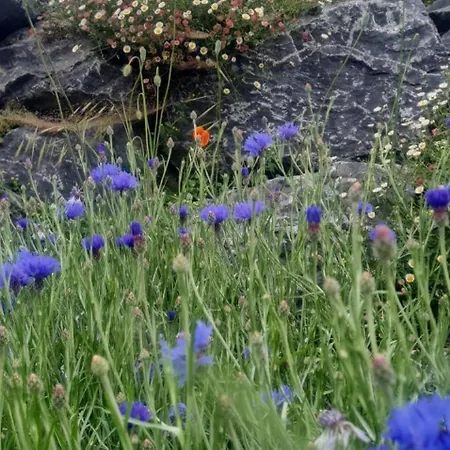 Epis Du Moulin Hébergement de vacances Etinehem
