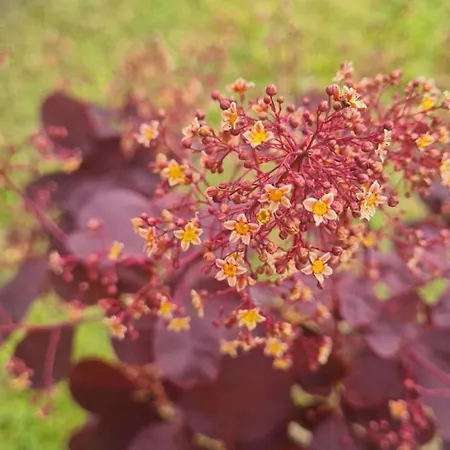 Hébergement de vacances Epis Du Moulin