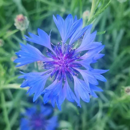 Epis Du Moulin Hébergement de vacances *