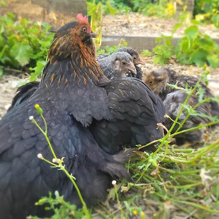 Epis Du Moulin Сasa de vacaciones