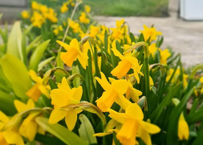 Epis Du Moulin Hébergement de vacances