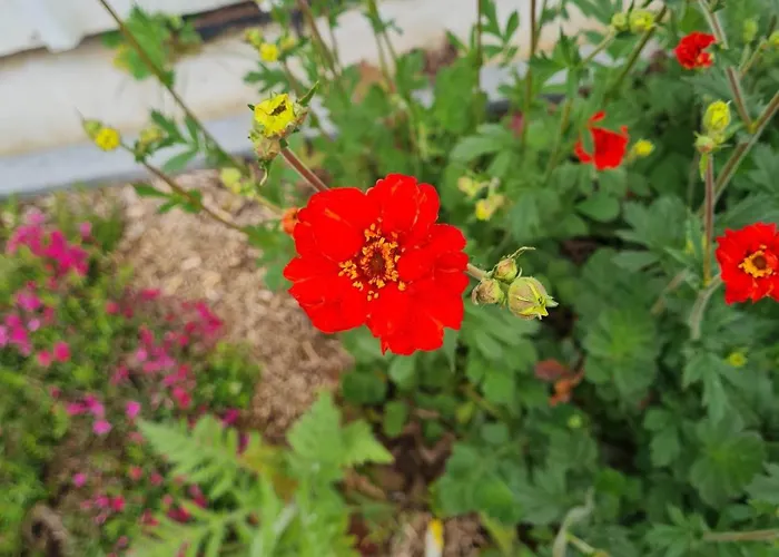 Epis Du Moulin Hébergement de vacances
