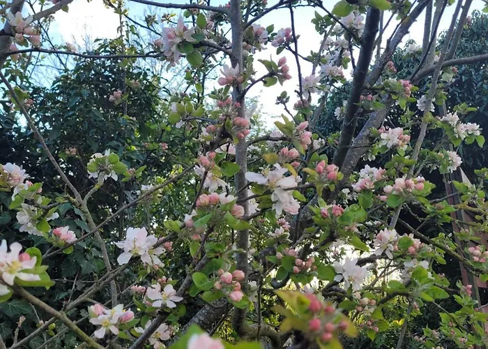 Epis Du Moulin Hébergement de vacances Etinehem
