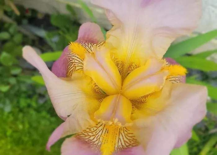 Epis Du Moulin Hébergement de vacances