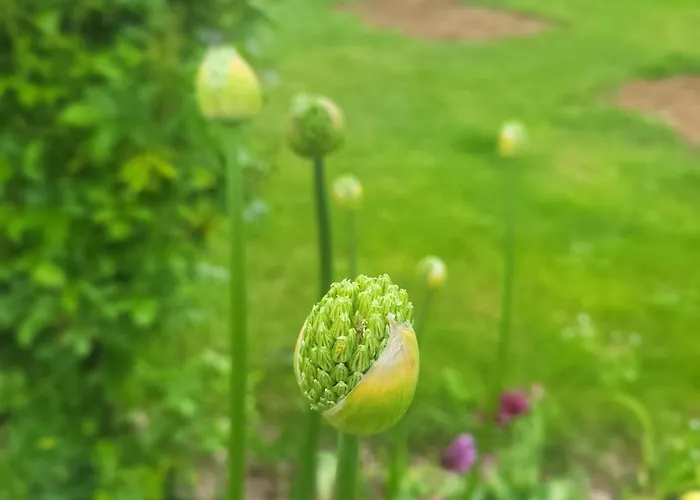 Epis Du Moulin Hébergement de vacances