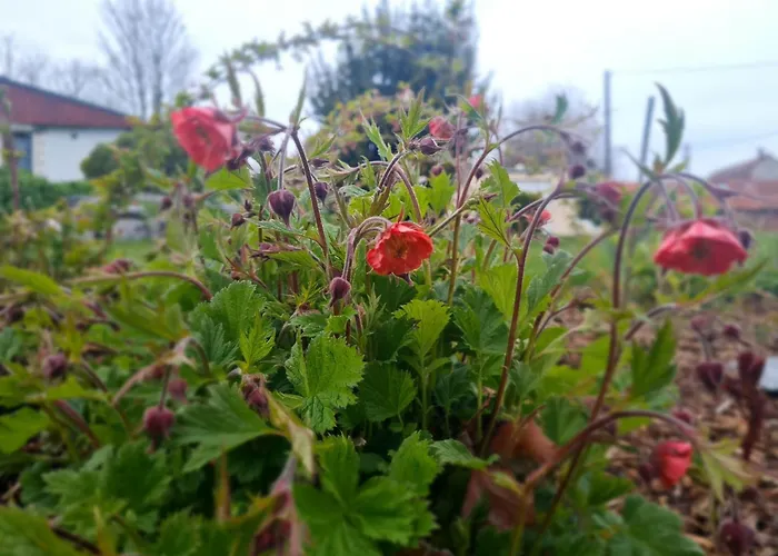 Hébergement de vacances Epis Du Moulin