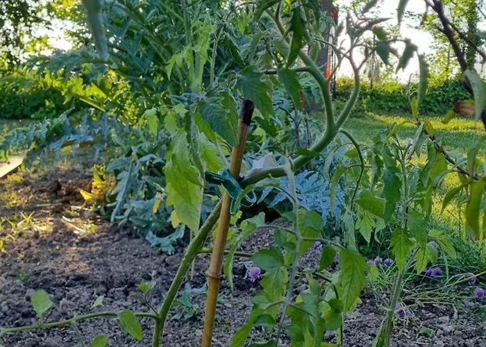 Hébergement de vacances Epis Du Moulin