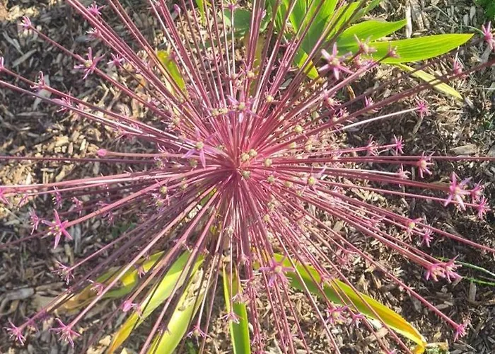 Epis Du Moulin Hébergement de vacances Etinehem