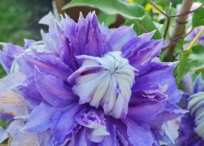 Epis Du Moulin Hébergement de vacances *