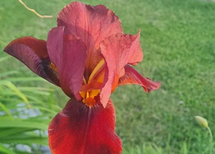 Hébergement de vacances Epis Du Moulin *