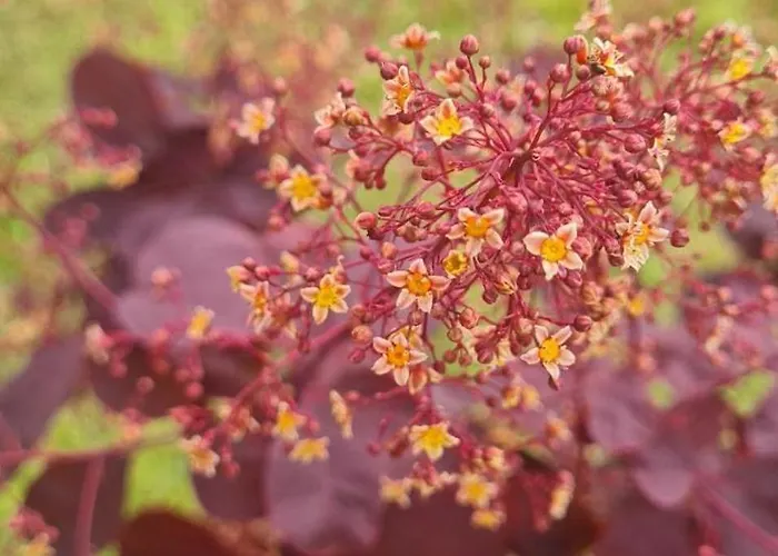 Hébergement de vacances Epis Du Moulin