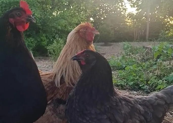 Hébergement de vacances Epis Du Moulin Etinehem
